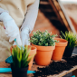 Coltivazione piante aromatiche sul balcone