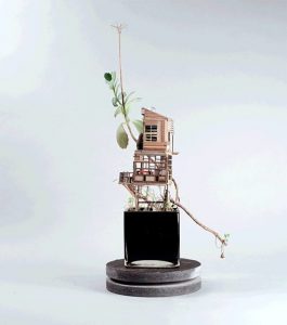 case miniatura di Jedediah Corwyn Voltz 4