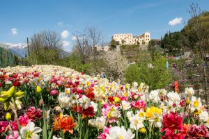 giardini castel trauttmansdorff (1)