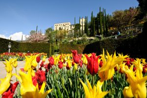 giardini castel trauttmansdorff (7)