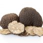 Tartufo Nero