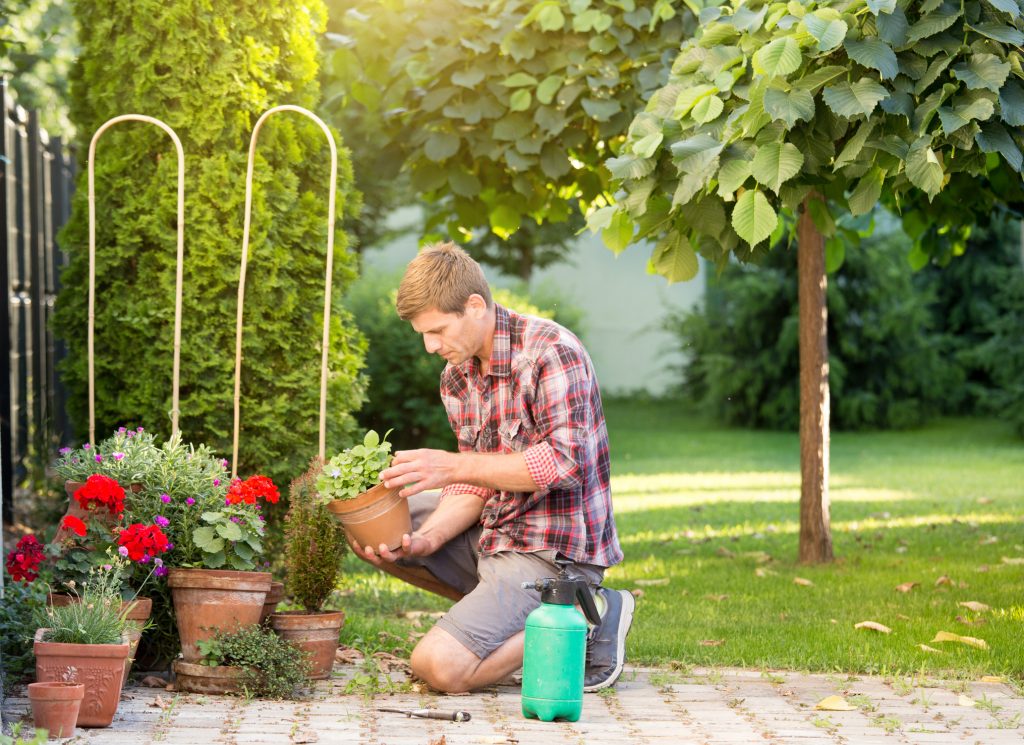 Preparare il giardino per primavera (4)