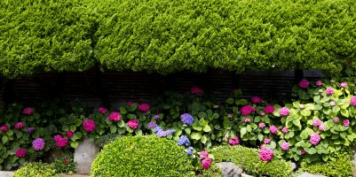 Preparare il giardino per primavera (3)