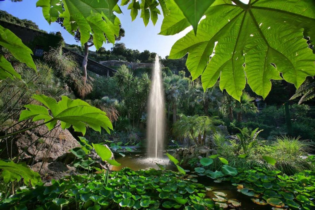 i giardini della Mortella 2