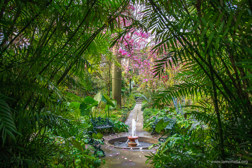 i giardini della Mortella 5