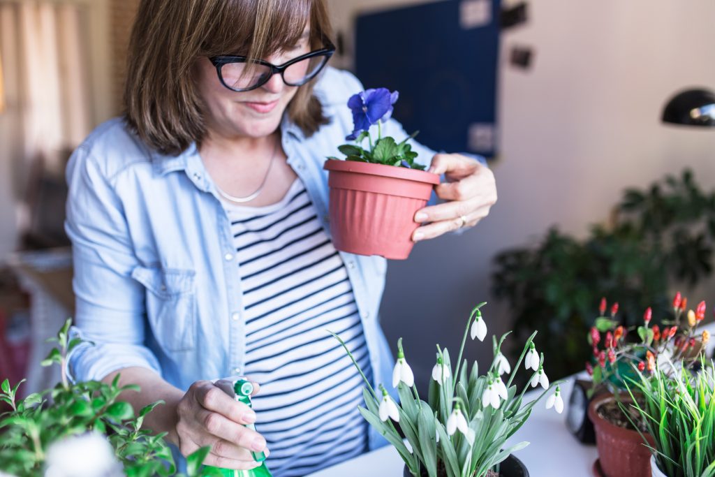 errori comuni giardinaggio