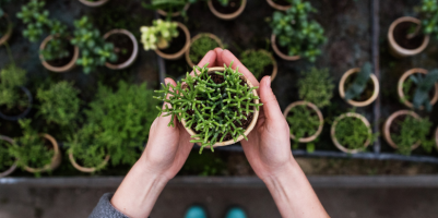 5 errori comuni da fare in giardino e come rimediare