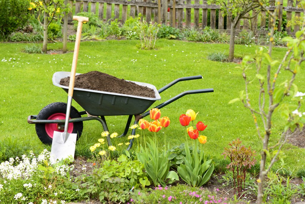 attrezzi per giardinaggio-vanga