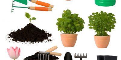 attrezzi per giardinaggio-cover