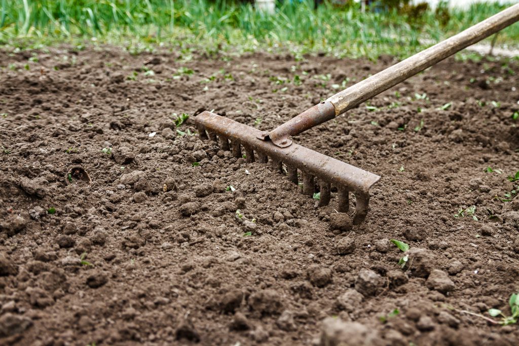 attrezzi per giardinaggio-rastrello