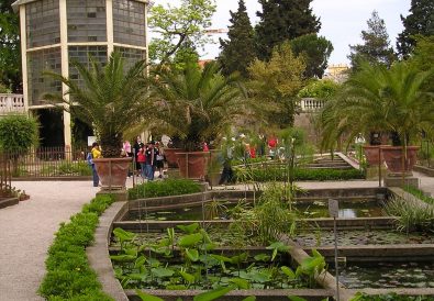 Orto botanico Padova