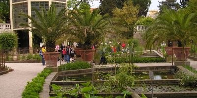 Orto botanico Padova