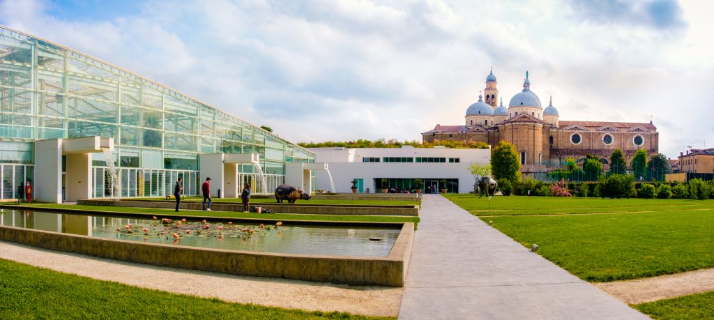 Orto botanico Padova5