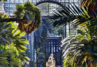 orto botanico palermo 1