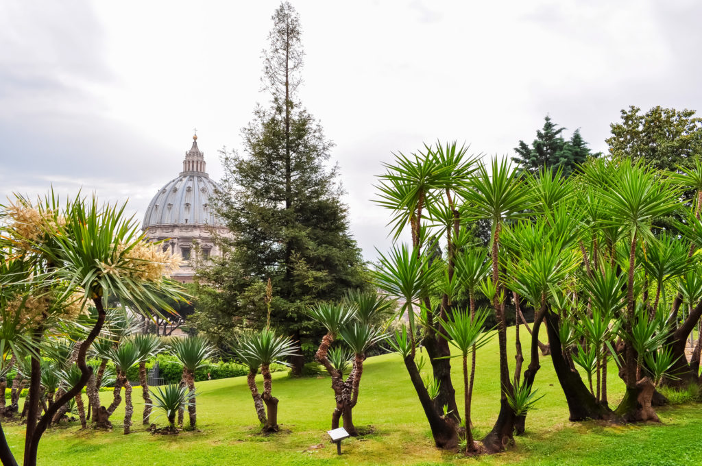 Giardini vaticani 24