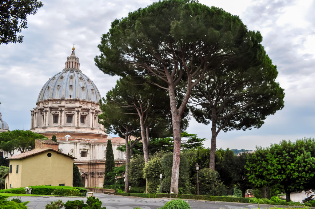 Giardini vaticani 11