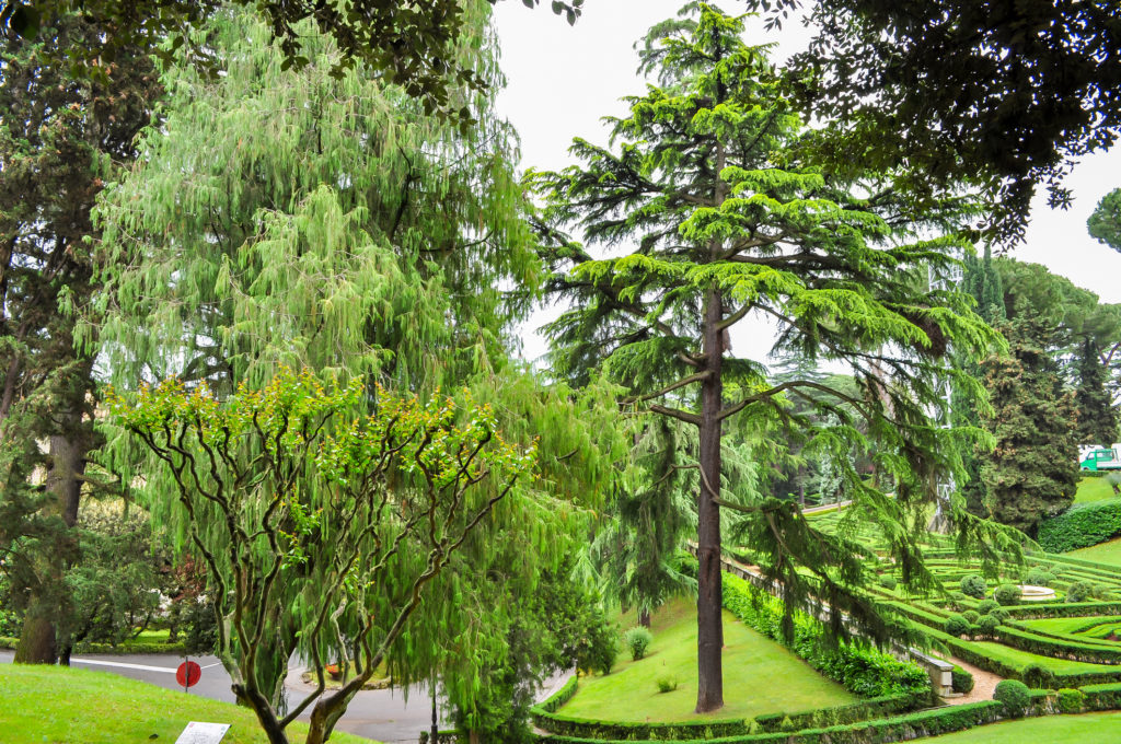 Giardini vaticani 04