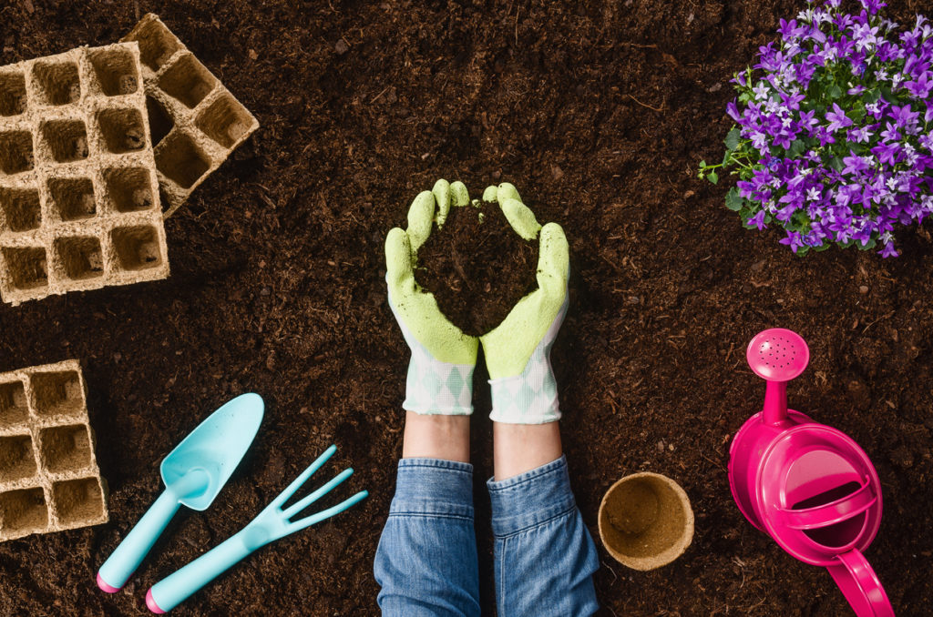 Piantare una pianta con gli strumenti da giardinaggio