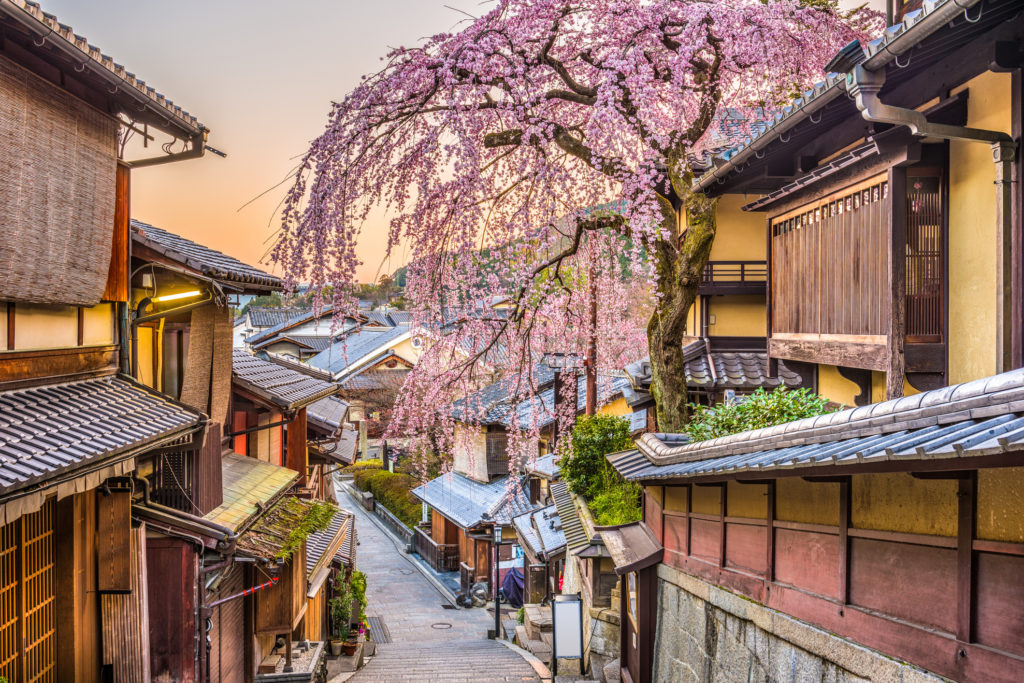 città con i giardini sakura