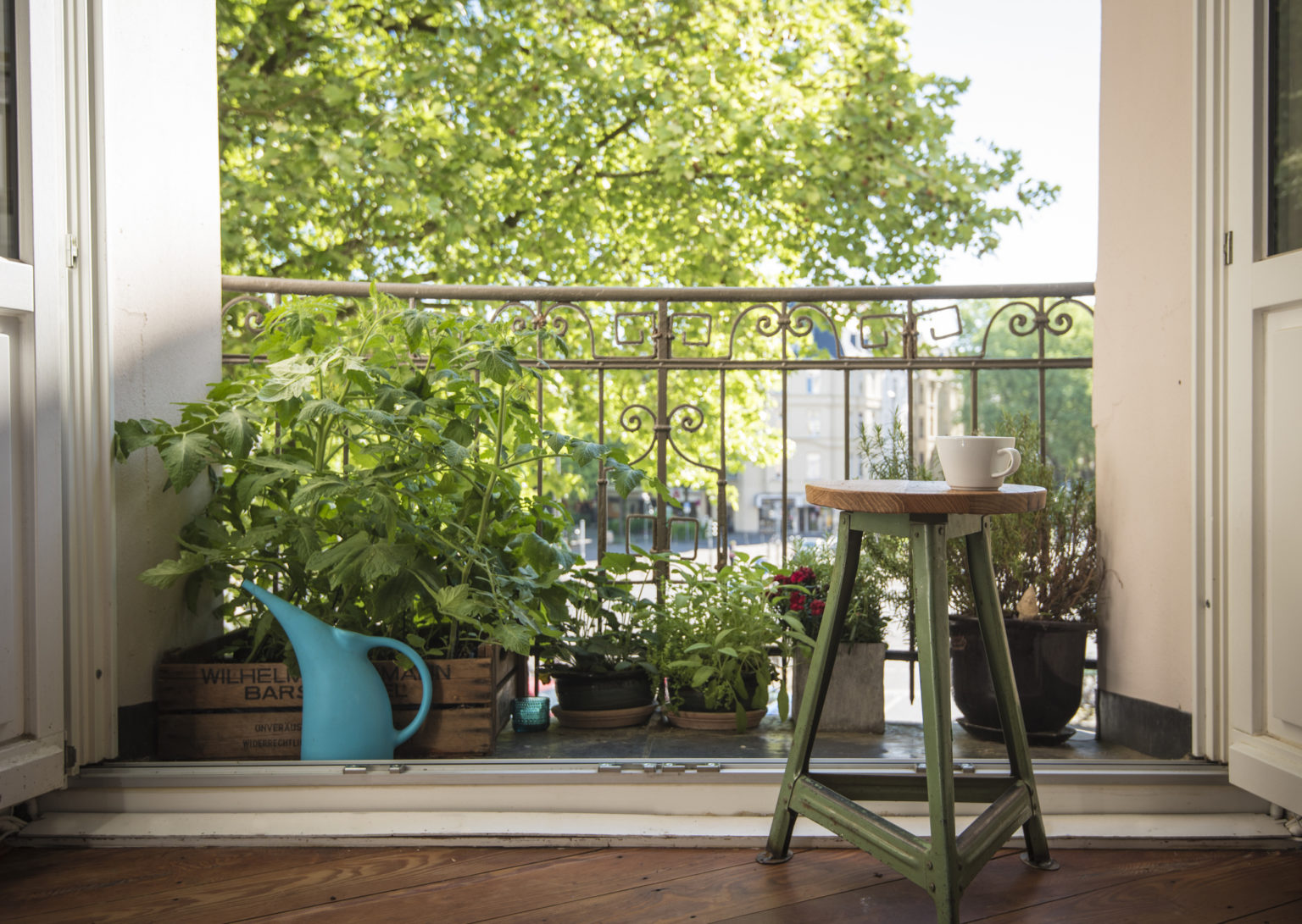 PATIKIL Cinghie per Alberi 31,5 Pollici per Ancoraggio, Set di 3 Pali di Supporto per Alberi, Legature per Raddrizzare Alberi Appena Piantati, Nero