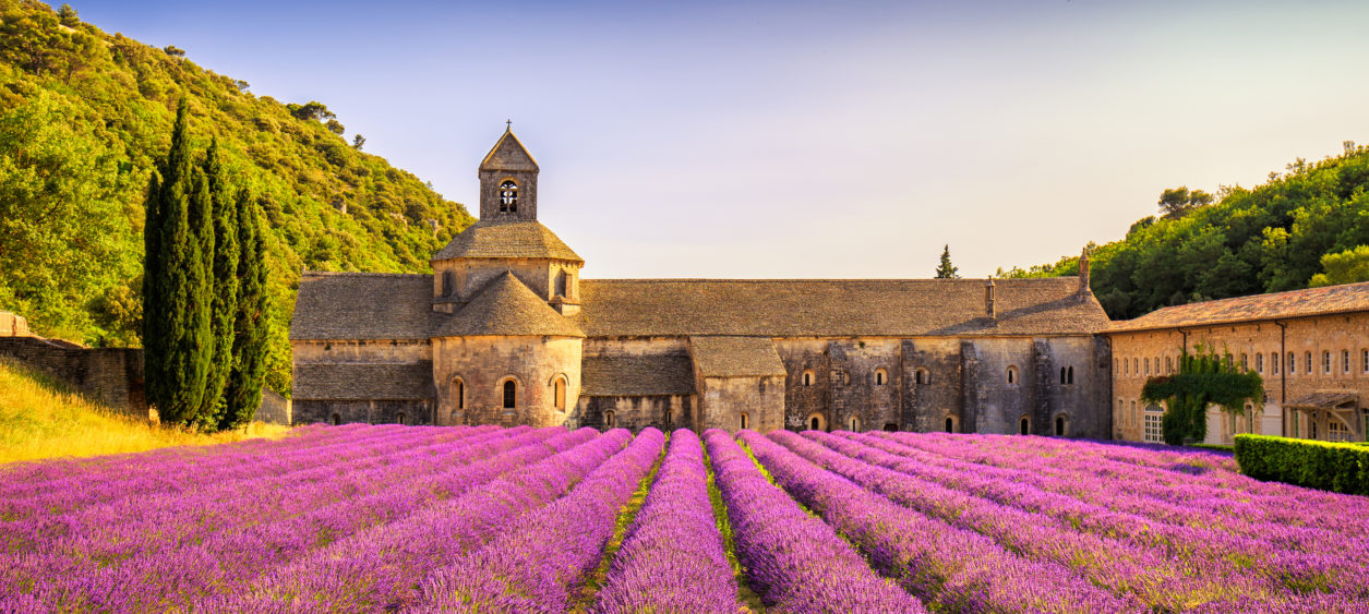 Campo di lavanda