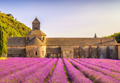 Campo di lavanda