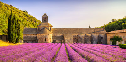 Campo di lavanda