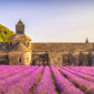 Campo di lavanda