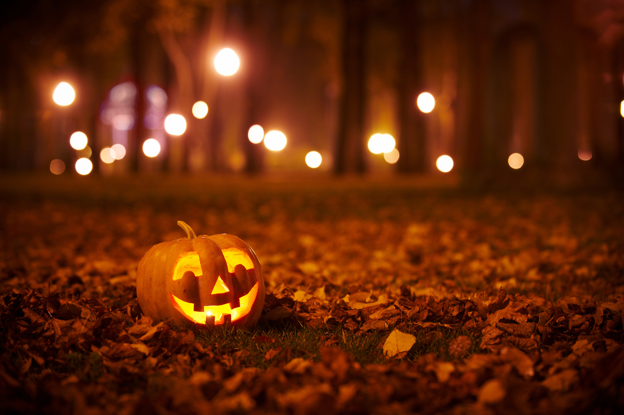 La zucca è il simbolo di Halloween.