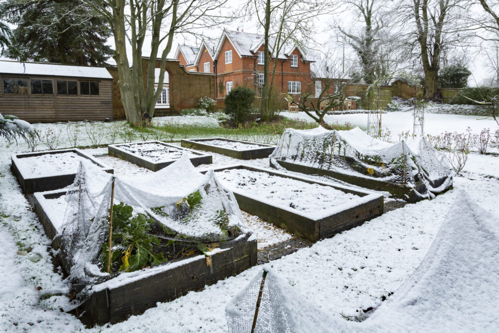 Curare il giardino in inverno - Orto coperto da neve 