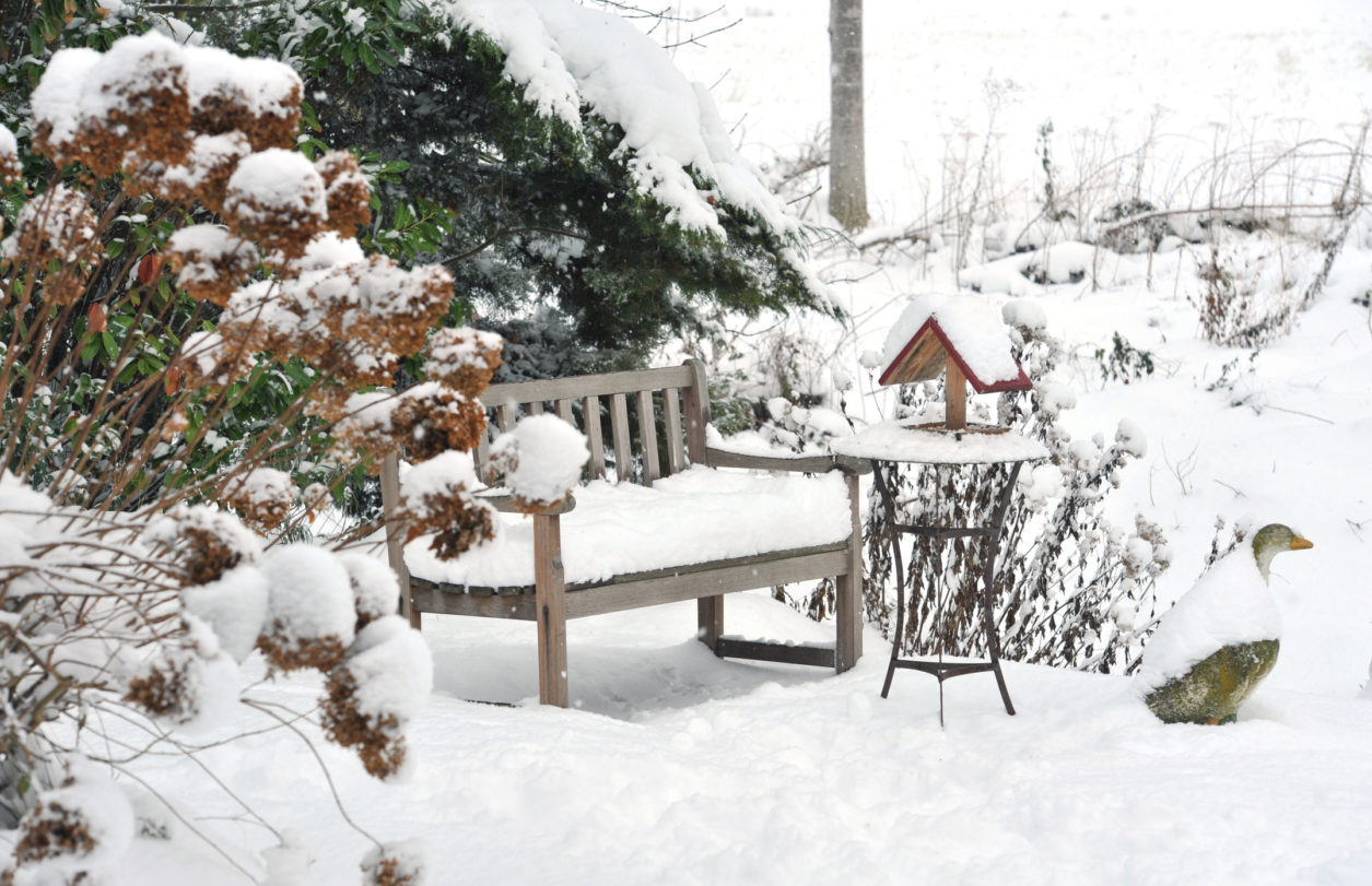 Giardino con panca coperto di neve- curare giardino in inverno