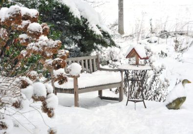 Giardino con panca coperto di neve- curare giardino in inverno