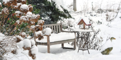 Giardino con panca coperto di neve- curare giardino in inverno