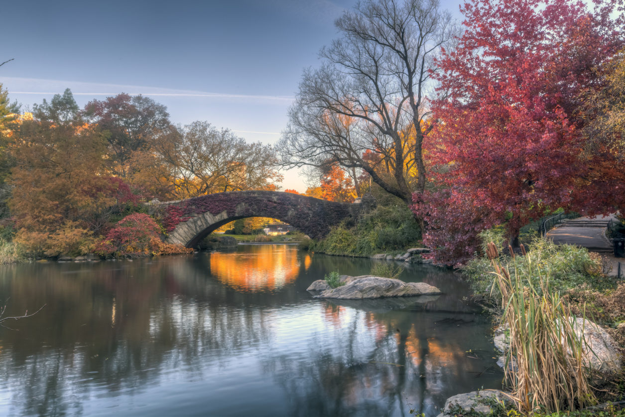 Film girati a central park