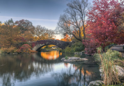 Film girati a central park