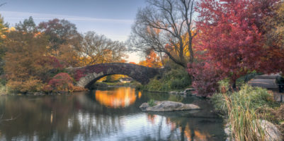 Film girati a central park