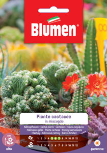 Prodotto Blumen - miscuglio semi piante grasse 