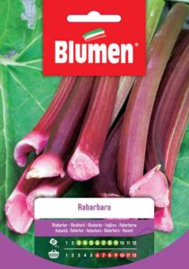 Confezioni semi di rabarbaro Blumen