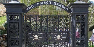 Alnwick_Garden_Poison Garden