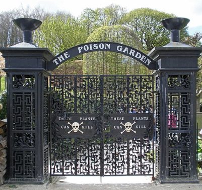 Alnwick_Garden_Poison Garden