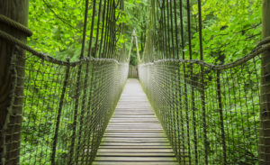 Alnwick wooden Treehouse, wooden and rope bridge, Alnwick Garden, in the English county of Northumberland, UK