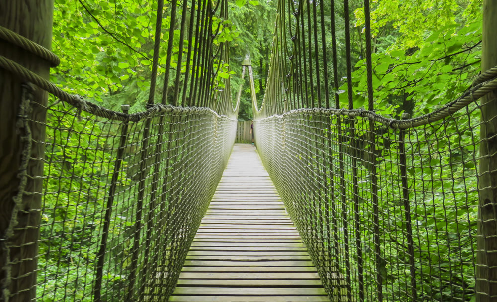 Alnwick wooden Treehouse, wooden and rope bridge, Alnwick Garden, in ...