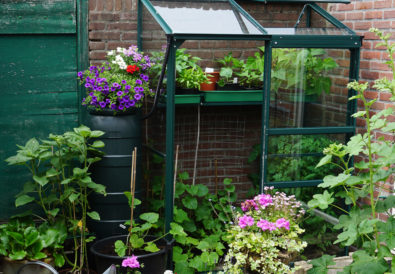 Giardinaggio urbano serra balcone