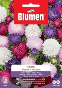 Astro Bouquet | Blumen semi