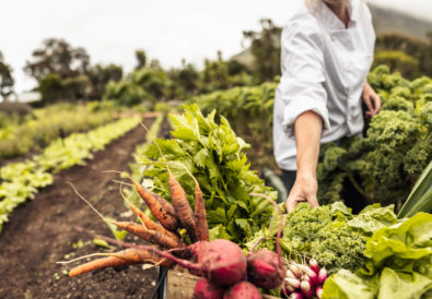 la biodiversità dell’orto