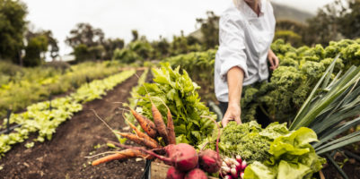 la biodiversità dell’orto