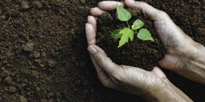 tipi di terreno per coltivare al meglio le tue piante