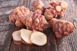 tuberi di topinambur appena raccolti in un orto. L'ortaggio è noto per la sua forma e sapore unici.