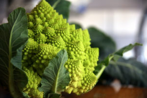 Cavolo broccolo romanesco