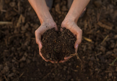 compre preparare l'orto per la semina